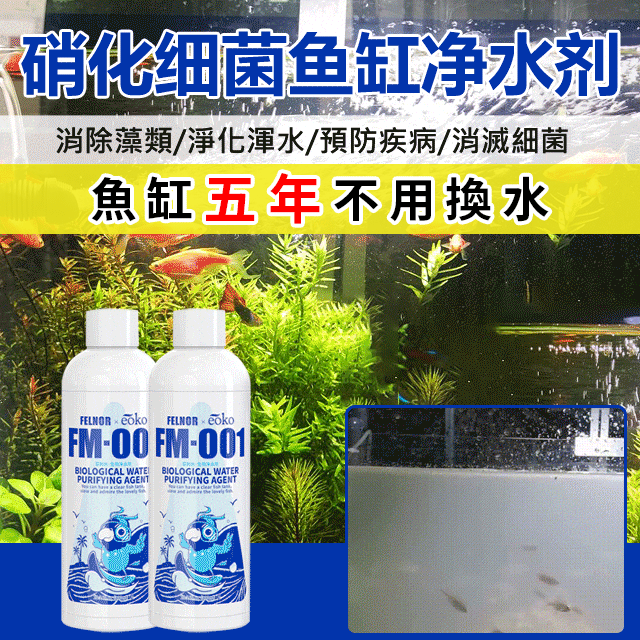 【10年老魚友推薦】告別魚缸水渾濁/腥臭/發黃/輕鬆打造空氣缸 【10年老魚友推薦】告別魚缸水渾濁/腥臭/發黃/輕鬆打造空氣缸